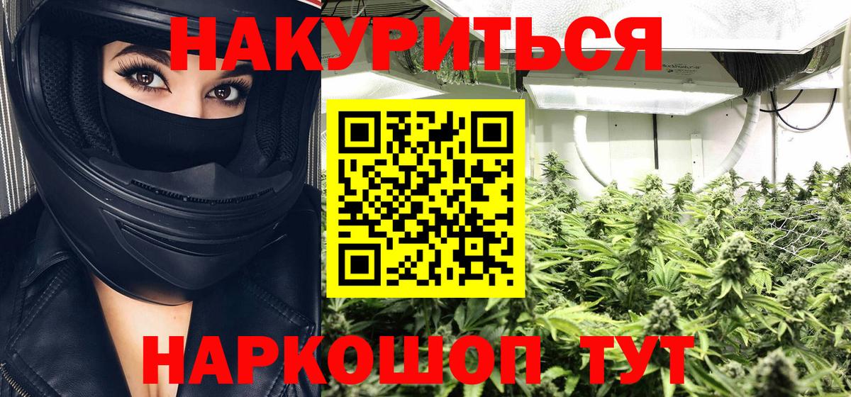Каннабис план Благодарный